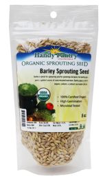 Barley Sprouting Seeds