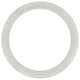 Screen Gasket for VKP 250 Food Strainer