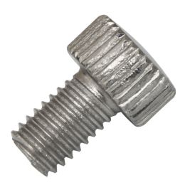 Stainless Steel Screw for Screen